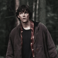 Sam Winchester Character | AI Chat